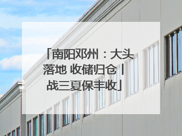 南阳邓州：大头落地 收储归仓丨战三夏保丰收
