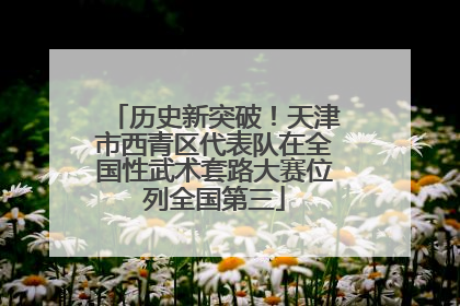 历史新突破！天津市西青区代表队在全国性武术套路大赛位列全国第三