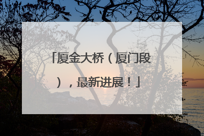 厦金大桥（厦门段），最新进展！
