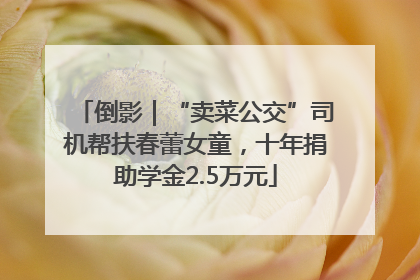 倒影｜“卖菜公交”司机帮扶春蕾女童，十年捐助学金2.5万元