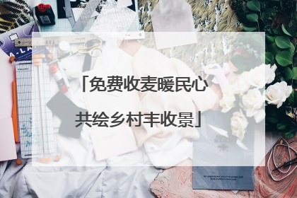免费收麦暖民心 共绘乡村丰收景