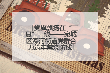 党旗飘扬在“三夏”一线——宛城区溧河街道党群合力筑牢禁烧防线