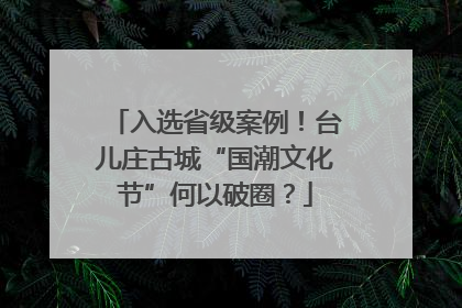入选省级案例！台儿庄古城“国潮文化节”何以破圈？
