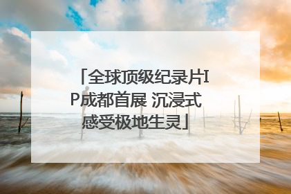 全球顶级纪录片IP成都首展 沉浸式感受极地生灵