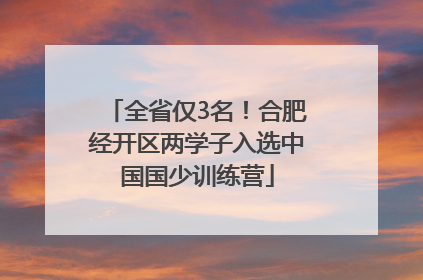 全省仅3名！合肥经开区两学子入选中国国少训练营