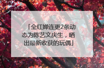 全红婵连更2条动态为陈艺文庆生，晒出最新收获的玩偶