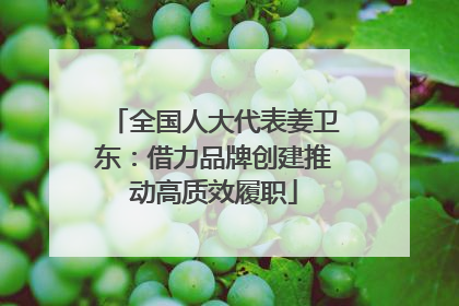 全国人大代表姜卫东：借力品牌创建推动高质效履职