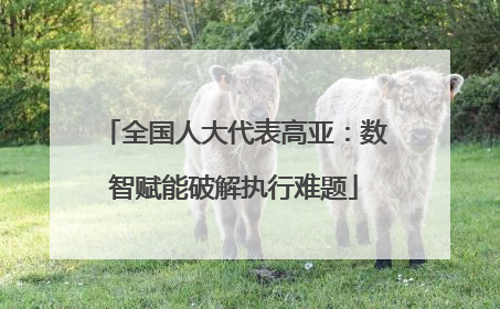 全国人大代表高亚：数智赋能破解执行难题