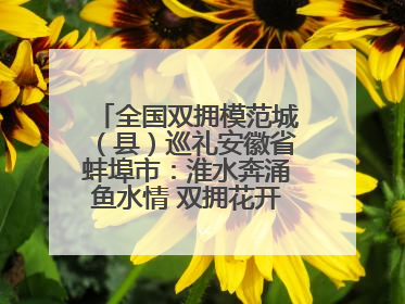 全国双拥模范城（县）巡礼安徽省蚌埠市：淮水奔涌鱼水情 双拥花开满珠城