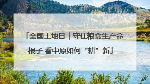 全国土地日｜守住粮食生产命根子 看中原如何“耕”新