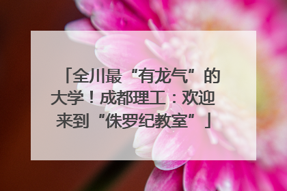全川最“有龙气”的大学！成都理工：欢迎来到“侏罗纪教室”