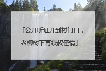 公开听证开到村门口，老柳树下再续叔侄情