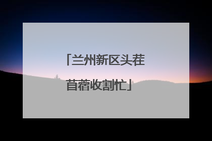 兰州新区头茬苜蓿收割忙
