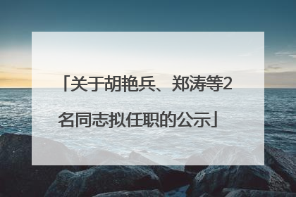 关于胡艳兵、郑涛等2名同志拟任职的公示