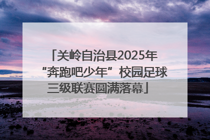关岭自治县2025年“奔跑吧少年”校园足球三级联赛圆满落幕