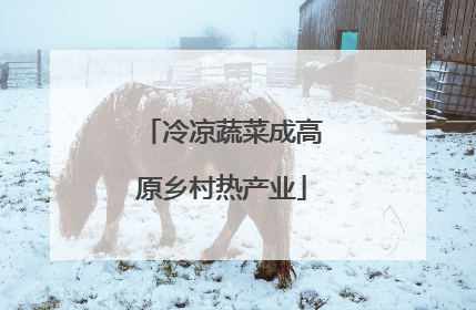 冷凉蔬菜成高原乡村热产业