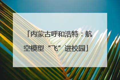 内蒙古呼和浩特：航空模型“飞”进校园