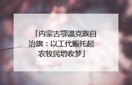 内蒙古鄂温克族自治旗：以工代赈托起农牧民增收梦