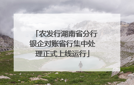农发行湖南省分行银企对账省行集中处理正式上线运行