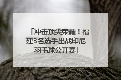 冲击顶尖荣耀！福建3名选手出战印尼羽毛球公开赛