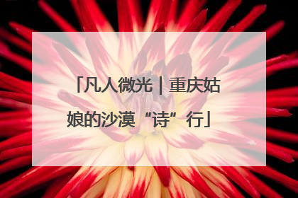 凡人微光｜重庆姑娘的沙漠“诗”行