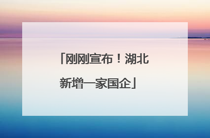 刚刚宣布！湖北新增一家国企