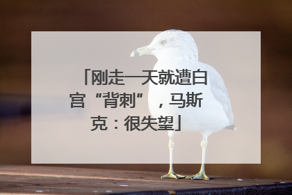 刚走一天就遭白宫“背刺”，马斯克：很失望