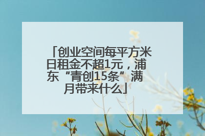 创业空间每平方米日租金不超1元，浦东“青创15条”满月带来什么