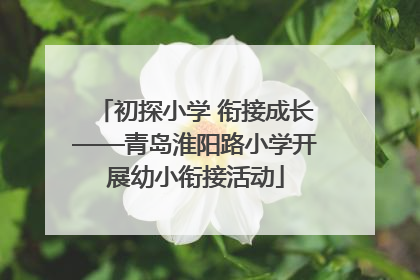 初探小学 衔接成长——青岛淮阳路小学开展幼小衔接活动