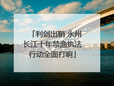 利剑出鞘 永州长江十年禁渔执法行动全面打响