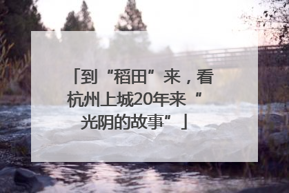 到“稻田”来，看杭州上城20年来“光阴的故事”