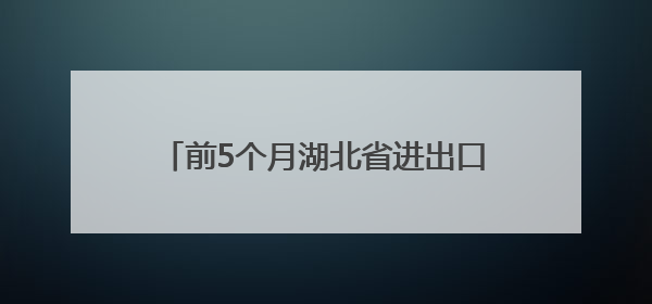 前5个月湖北省进出口同比增长26.9%