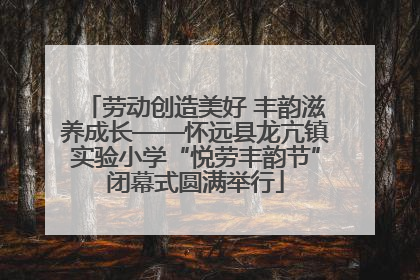 劳动创造美好 丰韵滋养成长——怀远县龙亢镇实验小学“悦劳丰韵节”闭幕式圆满举行