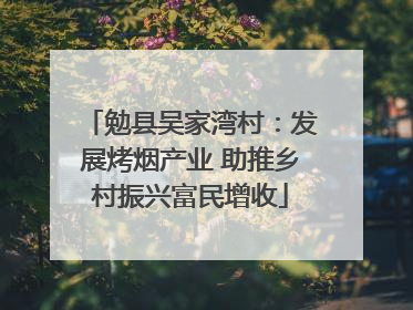 勉县吴家湾村：发展烤烟产业 助推乡村振兴富民增收