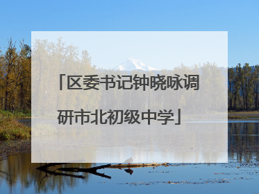 区委书记钟晓咏调研市北初级中学