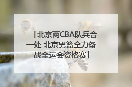 北京两CBA队兵合一处 北京男篮全力备战全运会资格赛