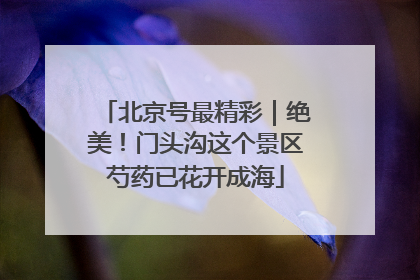 北京号最精彩｜绝美！门头沟这个景区芍药已花开成海