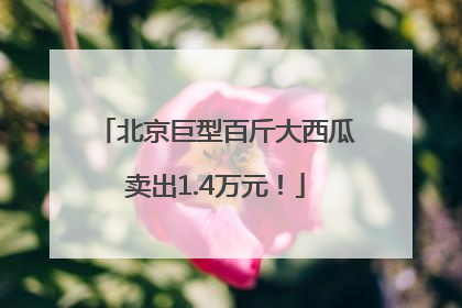 北京巨型百斤大西瓜卖出1.4万元！