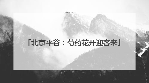 北京平谷：芍药花开迎客来