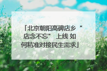 北京朝阳高碑店乡“店念不忘” 上线 如何精准对接民生需求