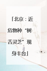 北京：近危物种“树舌灵芝”现身丰台
