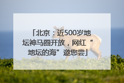 北京：近500岁地坛神马圈开放，网红“地坛的海”邀您尝