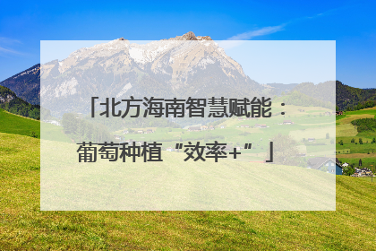 北方海南智慧赋能：葡萄种植“效率+”