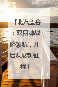 北汽蓝谷：双品牌战略领航，开启发展新征程