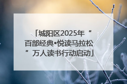 城阳区2025年“百部经典•悦读马拉松”万人读书行动启动