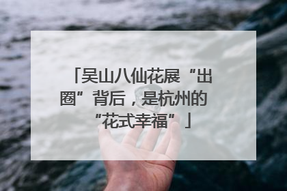 吴山八仙花展“出圈”背后，是杭州的“花式幸福”