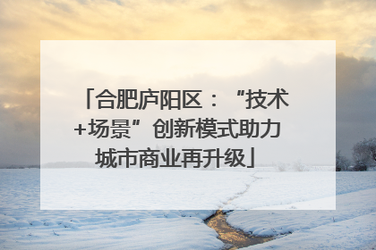 合肥庐阳区：“技术+场景”创新模式助力城市商业再升级