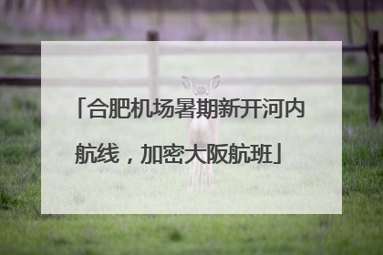 合肥机场暑期新开河内航线，加密大阪航班