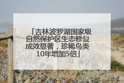 吉林波罗湖国家级自然保护区生态修复成效显著，珍稀鸟类10年增加5倍