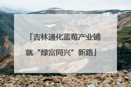 吉林通化蓝莓产业铺就“绿富同兴”新路